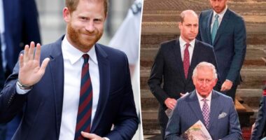 Prince Harry's latest peace offering to estranged dad King Charles, brother Prince William revealed