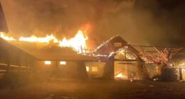 Race to save Grand Canyon as two wildfires burn historic lodge and close North Rim for MONTHS: Live updates