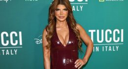 Real Housewives of New Jersey star Teresa Giudice has revealed that she will not be hugging any koalas while in Sydney for fear of contracting an STD