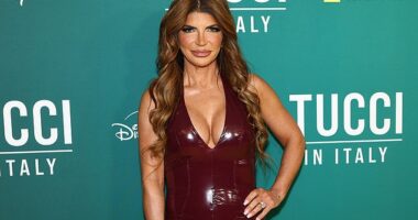 Real Housewives of New Jersey star Teresa Giudice has revealed that she will not be hugging any koalas while in Sydney for fear of contracting an STD