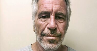 Report: What Really Happened to Virginia Giuffre