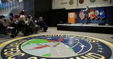 Retired Army Officer Pleads Guilty To Sharing Classified Info On Dating Site