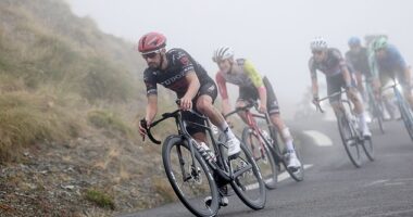 Julian Alaphilippe (pictured leading the pack) snatched a cardboard sign from a fan during Stage 14 of the 2025 Tour de France on Sunday