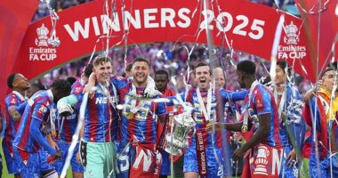 Crystal Palace may have a glimmer of hope with regards to their Europa League spot