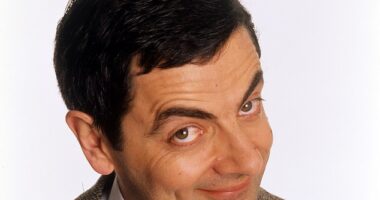 Researchers discovered the best way to indicate what you want is to look at an object, make eye contact with a person, and then look back at the same object. Pictured: Mr Bean - who hardly speaks - is renowned for having incredibly expressive eyes