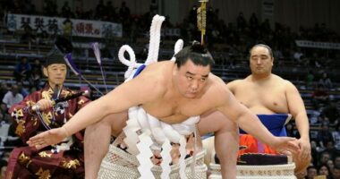 'Right-Wing' Populist Party Ascendent in the Land of the Rising Sun – HotAir