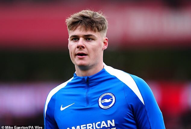 Roma have reportedly reached an agreement with Brighton to sign Evan Ferguson on loan