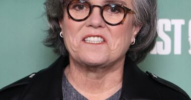 Rosie O'Donnell went scorched earth on Donald Trump on Saturday with a series of posts claiming Trump was on Jeffrey Epstein 's client list and was a guest at the billionaire's infamous island