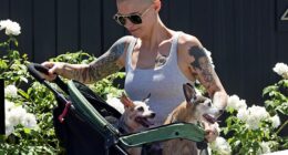 Ruby Rose (pictured) revealed a shock body modification as she stepped out in Los Angeles on Friday