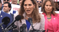 Salazar Bill Would Swap Amnesty For Penalties Illegals Won't Pay