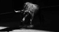 S&P 500 now more likely to reach 7,200 next year, according to Morgan Stanley’s Wilson