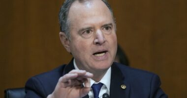 Schiff, Senate Democrats Push for New Watchdog to Oversee Trump White House – RedState