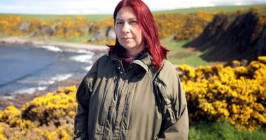 A Scottish B&B owner, Paula Stillie, who waited 50 years to meet her biological parents was left devastated after her birth mother refused to meet her