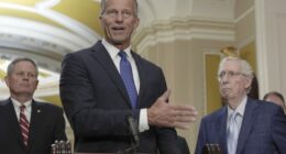 Senate Republicans Face Growing Pressure on Trump's $9.4 Billion Spending Cuts – RedState