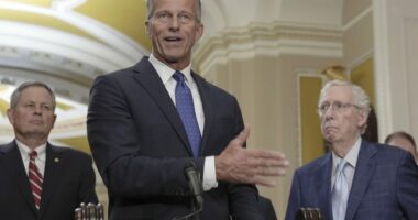 Senate Republicans Face Growing Pressure on Trump's $9.4 Billion Spending Cuts – RedState