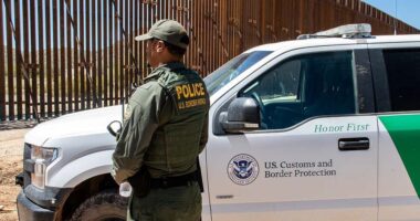 Senator Puts Forward Bill to Halt Birthright Citizenship for ‘Anchor Babies.’