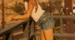 She had a role in Sleepless In Seattle, is a talented singer who has come out with many albums and is married to an A-list Oscar-winning movie star. Who is she?