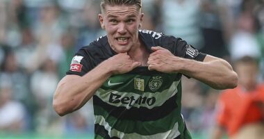 Fenerbahce are reportedly keen to ask for Viktor Gyokeres on loan if his Arsenal deal collapses