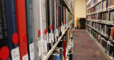 Should Public Libraries Serve as Homeless Shelters? – HotAir