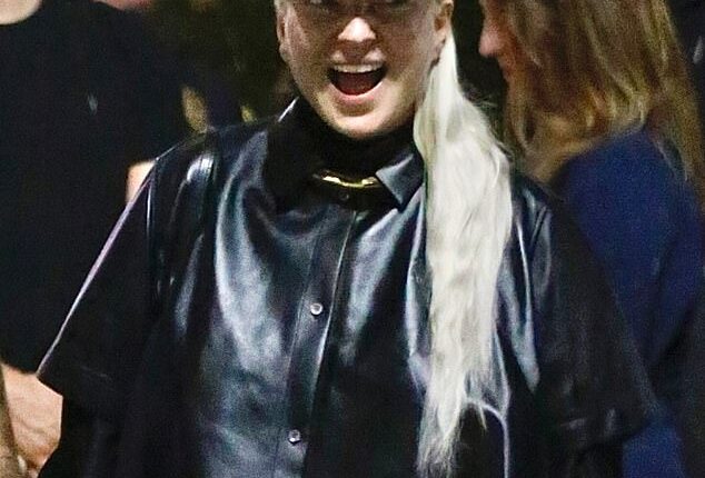 Camera-shy pop star Sia made a rare appearance at Katy Perry's Lifetimes Tour concert, which was held at the Kia Forum in Inglewood, CA on Tuesday night