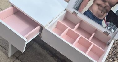 A single man gained thousands of 'thirsty' female fans after posting photos of a children's desk to sell on Facebook - and accidentally including his ripped physique