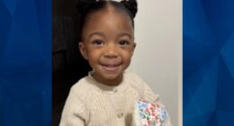Slain AMBER Alert Toddler Found Emaciated, Wrapped in Plastic After Mom Reports False Kidnapping
