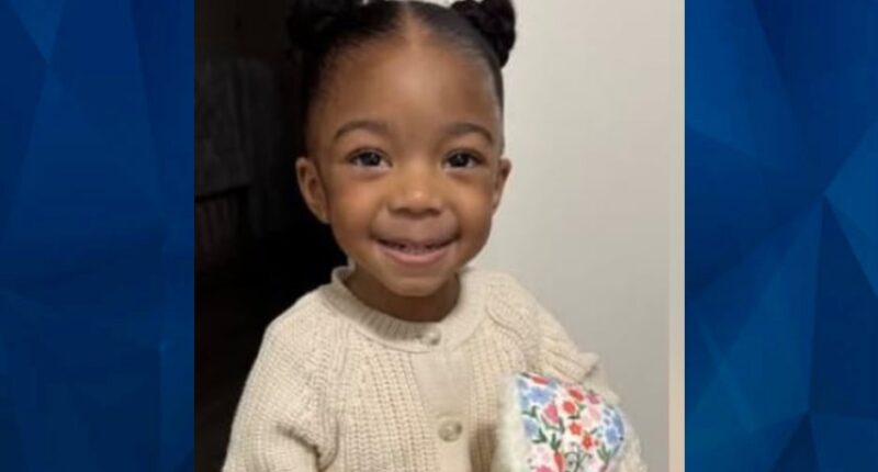 Slain AMBER Alert Toddler Found Emaciated, Wrapped in Plastic After Mom Reports False Kidnapping