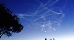 Smart Move, Lee Zeldin – HotAir
