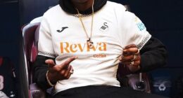 Snoop Dogg invests in SWANSEA CITY to team up as co-owner with Luka Modric in shock move - after claiming he wanted to buy into another club!