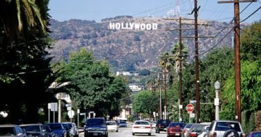 California has been rocked by a 4.4 magnitude earthquake that sent shockwaves through Los Angeles