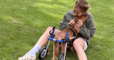 Stacey Solomon gives dog beloved Teddy ‘second chance’ at life after sudden illness