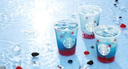Starbucks has finally pulled back the curtain on its new secret menu. The drinks giant unveiled four new drinks on Monday, freshening up its summer offerings. The drinks, which until now had remained a carefully guarded secret, are available on the Starbucks app's 'offers' tab.