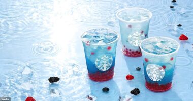 Starbucks has finally pulled back the curtain on its new secret menu. The drinks giant unveiled four new drinks on Monday, freshening up its summer offerings. The drinks, which until now had remained a carefully guarded secret, are available on the Starbucks app's 'offers' tab.