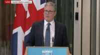 After days of talks the Prime Minister confirmed a new trial scheme would come into effect within weeks, at a press conference alongside his 'friend' Emmanuel Macron.