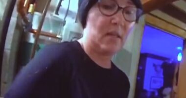 Mitchell was caught in the act dressed in all black while at her stepmother's home in the northwestern Minnesota city of Detroit Lakes in April of last year
