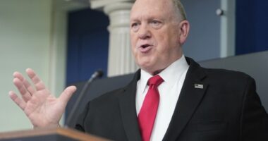 Stephen Miller, Tom Homan Rip Dems on Child Labor at Pot Farm; Big News About Kids Missing Under Biden – RedState