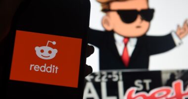 Stocks with lots of social-media buzz are crushing it in 2025. Why one strategist thinks the trade has gone too far.