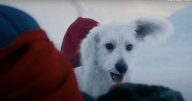 Superman's Use of Krypto Proves James Gunn is the Superhero Movie Auteur of Our Time