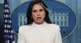 Susan Miller Leads the Russiagate Push Back Against Tulsi Gabbard – HotAir