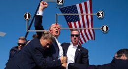 Scholar W.J.T. Mitchell says there are four key details in the photo that together transform the moment into a powerful visual narrative of strength, survival, and spectacle: the blood on Trump’s face, the raised fist, his central placement in the frame, and his direct look toward the camera
