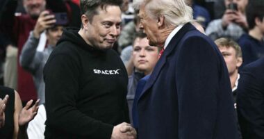 Tesla stock gets punished as Musk says he’ll start third political party. ‘This is not the news we want to see.’