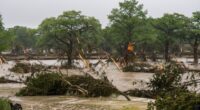 Texas flooding latest: 15 children among 52 dead while frantic search continues for missing summer camp girls