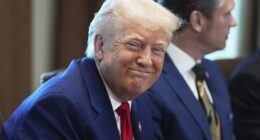 The 'Amnesty' Question Is Decisively Answered During Trump Cabinet Meeting – RedState