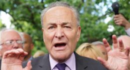 The Democrats Are the Least Popular Lawmakers in Congress.