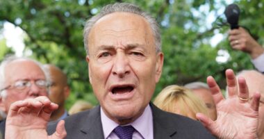 The Democrats Are the Least Popular Lawmakers in Congress.