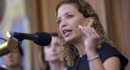 The Internet Is Laughing at Debbie Wassermann Schultz and Her 'Alligator Alcatraz' – RedState