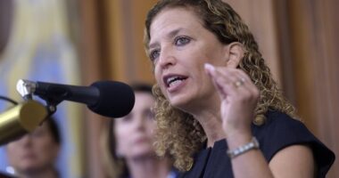 The Internet Is Laughing at Debbie Wassermann Schultz and Her 'Alligator Alcatraz' – RedState