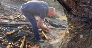 The LA Squatters With the Palisades View – HotAir