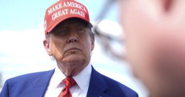 The MAGA Agenda Is on the Line – RedState