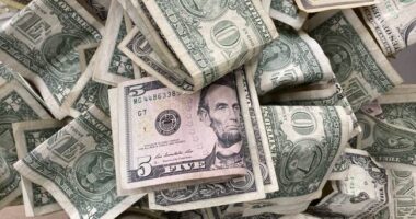 The Only Thing That Can Save Us Is Economic Growth